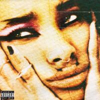 Willow - Lately I Feel Everything vinyl cover