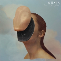 Wilsen - I Go Missing In My Sleep vinyl cover