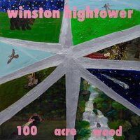 Winston Hightower - 100 Acre Wood vinyl cover
