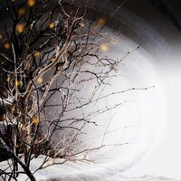 Winterlight - Winterlight vinyl cover