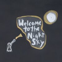 Wintersleep - Welcome To The Night Sky vinyl cover