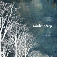 Wintersleep - Wintersleep vinyl cover