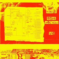 Witcyst - Soibiast Anti-Culler vinyl cover