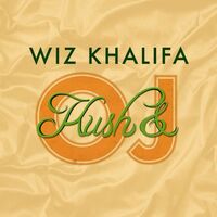 Wiz Khalifa - Kush & Orange Juice vinyl cover