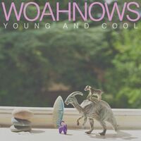 Woahnows - Young & Cool vinyl cover