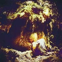Wolves In The Throne Room - Celestial Lineage vinyl cover