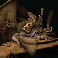 Wolves In The Throne Room - Primordial Arcana vinyl cover