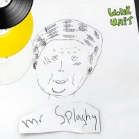 Wonk Unit - Mr Splashy vinyl cover