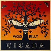 Wood Belly - Cicada vinyl cover