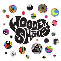Wooden Shjips - Back To Land vinyl cover