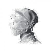 Woodkid - Golden Age vinyl cover