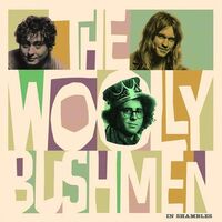 Woolly Bushmen - In Shambles vinyl cover