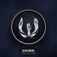 Worakls - Orchestra vinyl cover