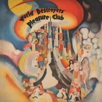 World Destroyer's Pleasure Club - World Destroyer's Pleasure Club vinyl cover