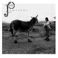 Worm - Pantilde vinyl cover