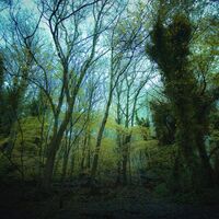 Worriedaboutsatan - Time Lapse vinyl cover