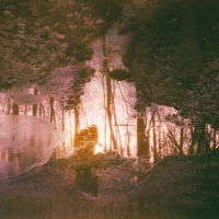 Wren - Auburn Rule vinyl cover