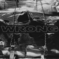 Wrong - Wrong vinyl cover
