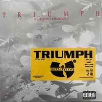 Wu-Tang Clan - Triumph vinyl cover