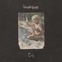 Wunderhorse - Cub vinyl cover