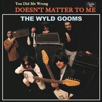 Wyld Gooms - You Did Me vinyl cover
