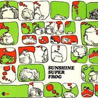 Wynder K Frog - Sunshine Super Frog vinyl cover