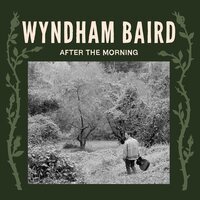 Wyndham Baird - After the Morning vinyl cover