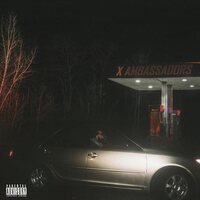 X Ambassadors - Townie vinyl cover