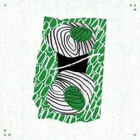 Xam Duo - Xam Duo II vinyl cover