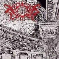 Xasthur - The Funeral Of Being vinyl cover