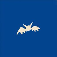 Xiu Xiu - Fag Patrol vinyl cover