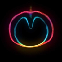 Xtc - Wasp Star Apple Venus Vol 2 vinyl cover