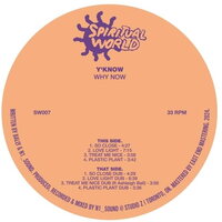 Y'Know - Why Now vinyl cover