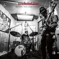Yasuhiro Usui - undulation vinyl cover