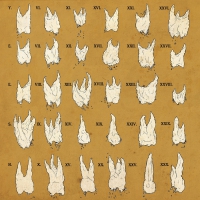 Yeesh - Confirmation Bias vinyl cover