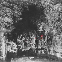 Yellow Eyes - Rare Field Ceiling vinyl cover