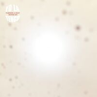 Yo La Tengo - There's A Riot Going On vinyl cover