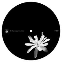 Yotam Avni - Tehillim vinyl cover