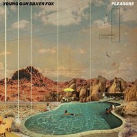 Young Gun Silver Fox - Pleasure vinyl cover