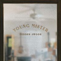 Young Mister - Sudden Swoon vinyl cover