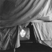 Young Statues - Amarillo vinyl cover