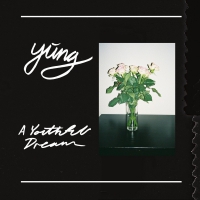 Yung - A Youthful Dream vinyl cover