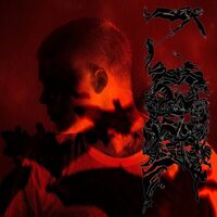 Yung Lean - Stranger vinyl cover