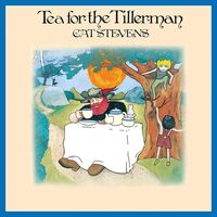 Yusuf  /  Cat Stevens - Tea For The Tillerman vinyl cover