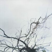 Yutaka Hirose - Nova & 4 vinyl cover