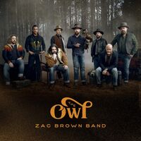 Zac Brown Band - The Owl vinyl cover