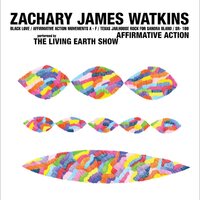 Zachary James Watkins - Affirmative Action vinyl cover