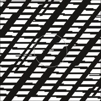 Zakmina - Perplexed vinyl cover