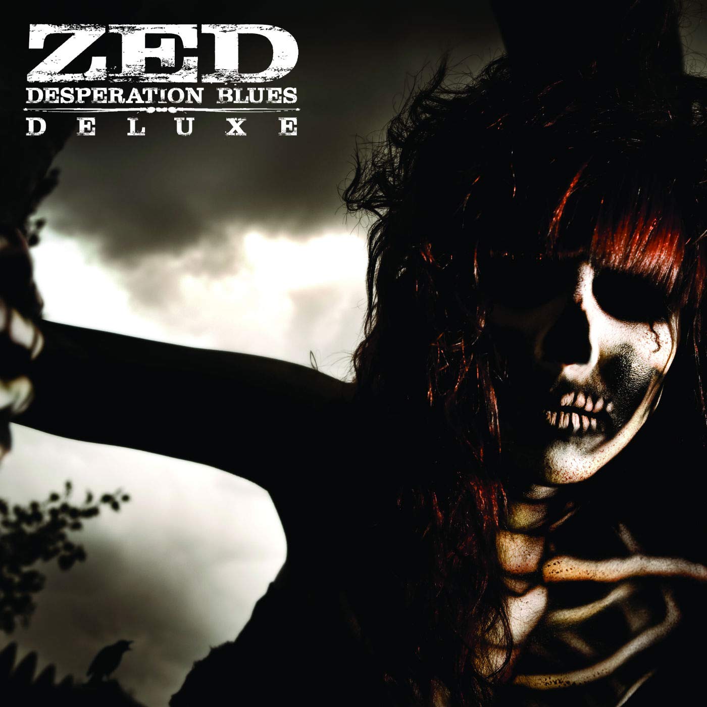Zed - Desperation Blues Deluxe vinyl cover