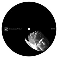 Zeitgeber - Body Out Body In vinyl cover